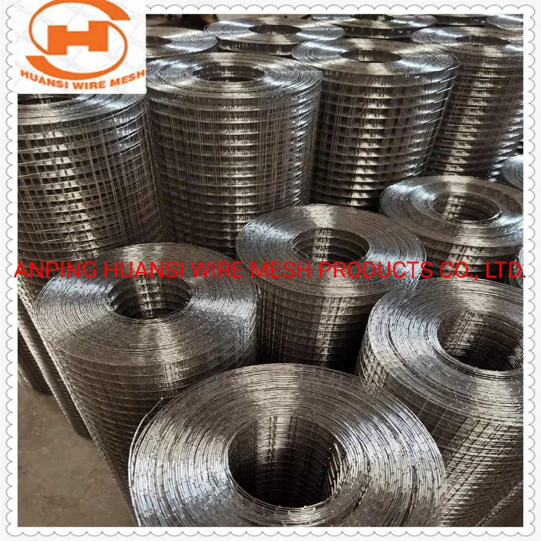 Stainless Steel/PVC Coated/Galvanized Welded Wire Mesh