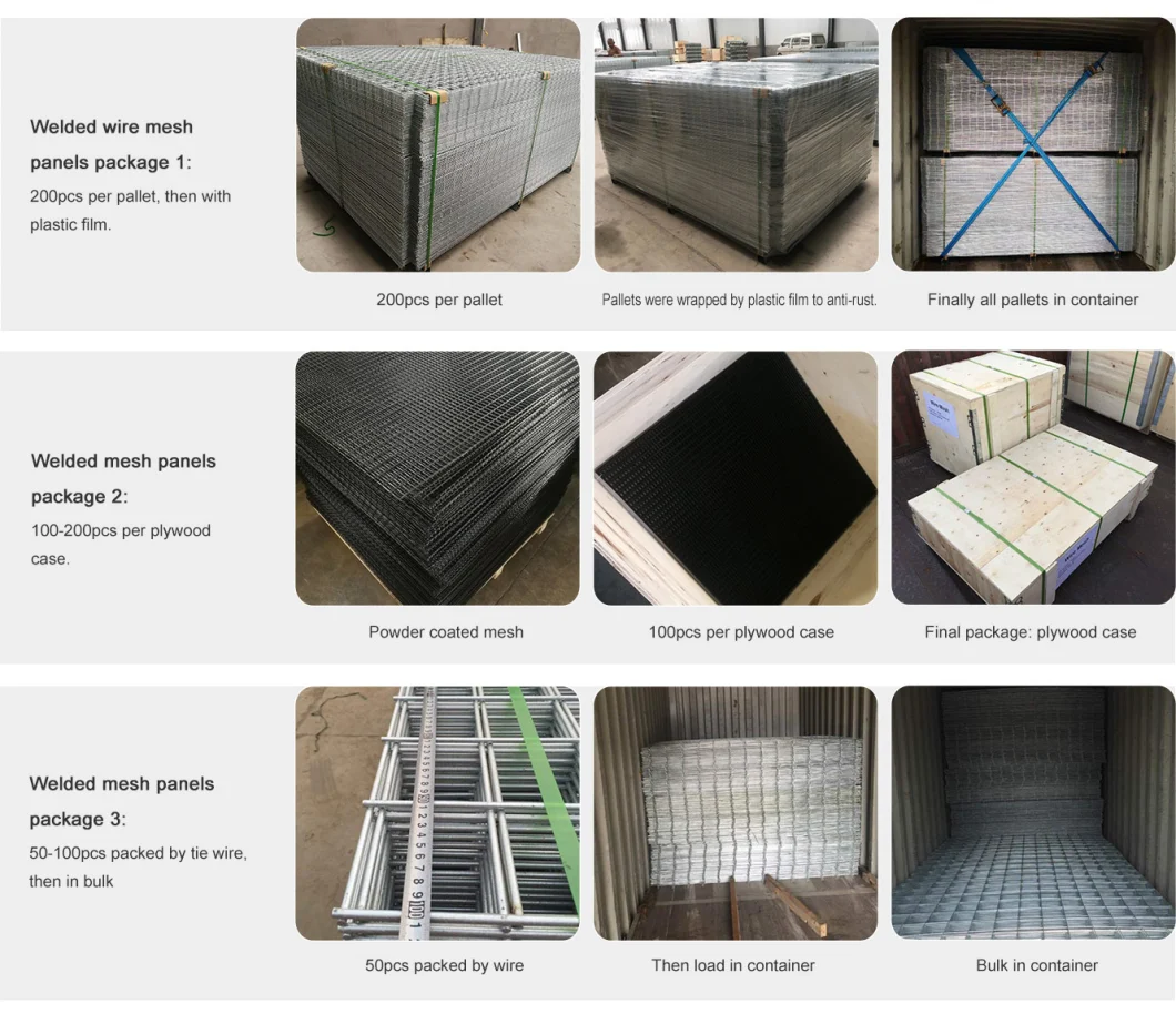 Stainless Steel/ Galvanized Welded Wire Mesh Mild Steel Wire Net