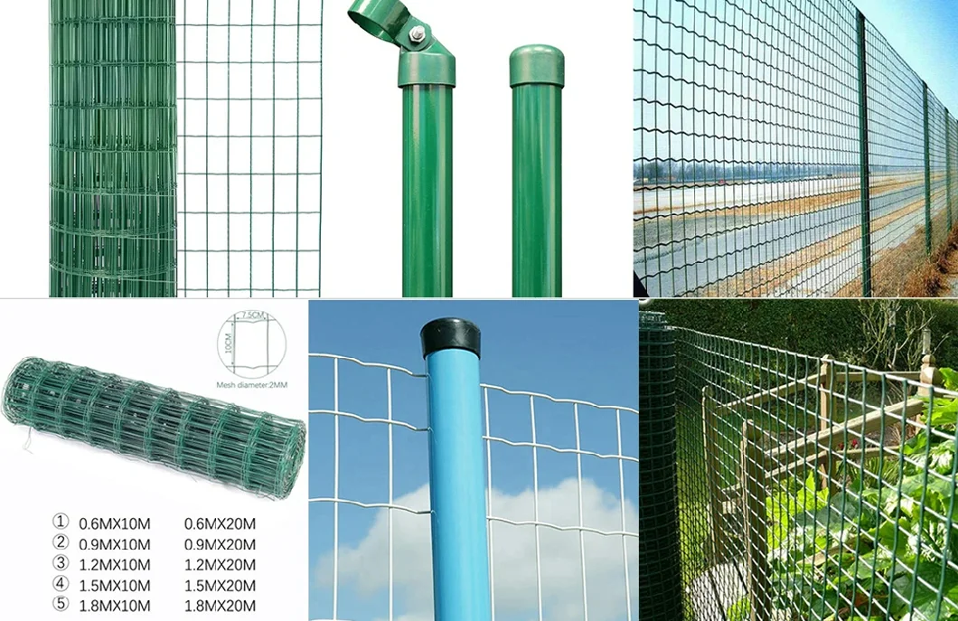 High Quality Euro Fence Plastic Coated Wire Mesh Fence Holland Wire Euro Fence / Euro Steel Fencing/Security Metal Euro Fence