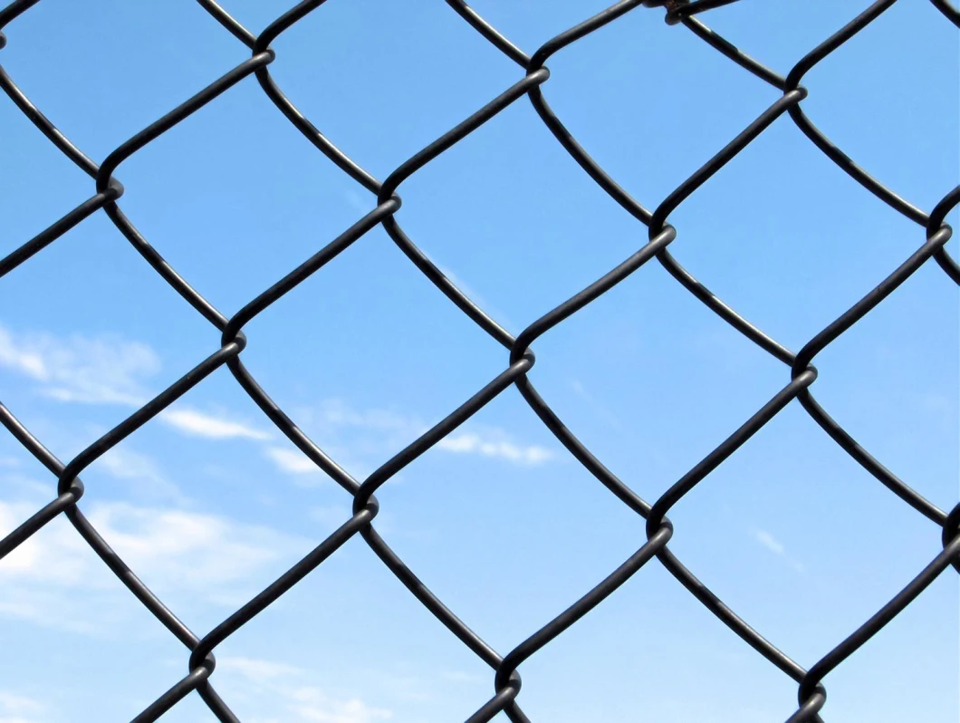 Green Color PVC Coated Chain Link Mesh (R-GHW) Galvanized Wire Mesh