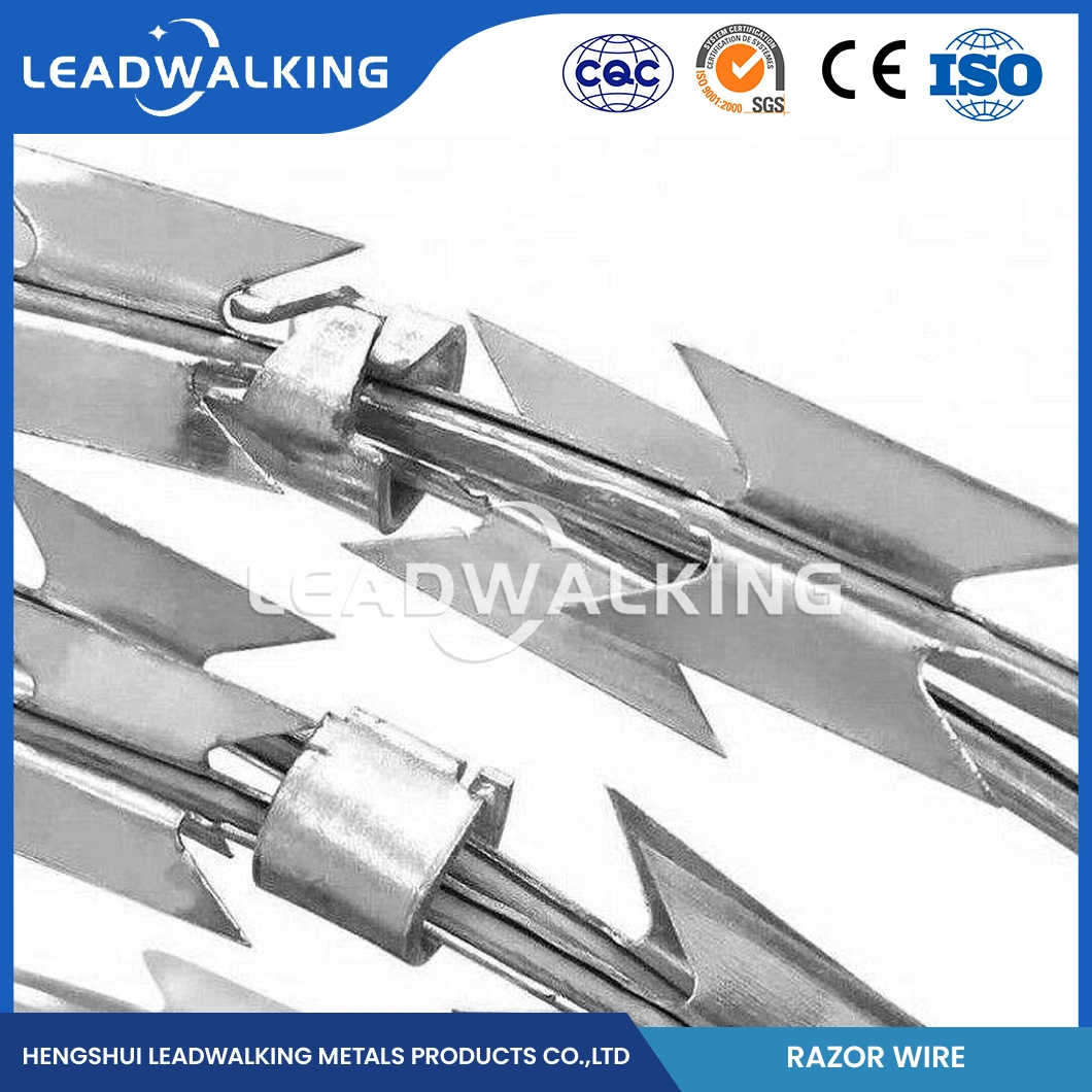 Leadwalking 200m Barbed Wire Wholesaler 50mm Needle Spacing Boundaries Wall Razor Wire China 3mm Diameter Cheap Razor Wire