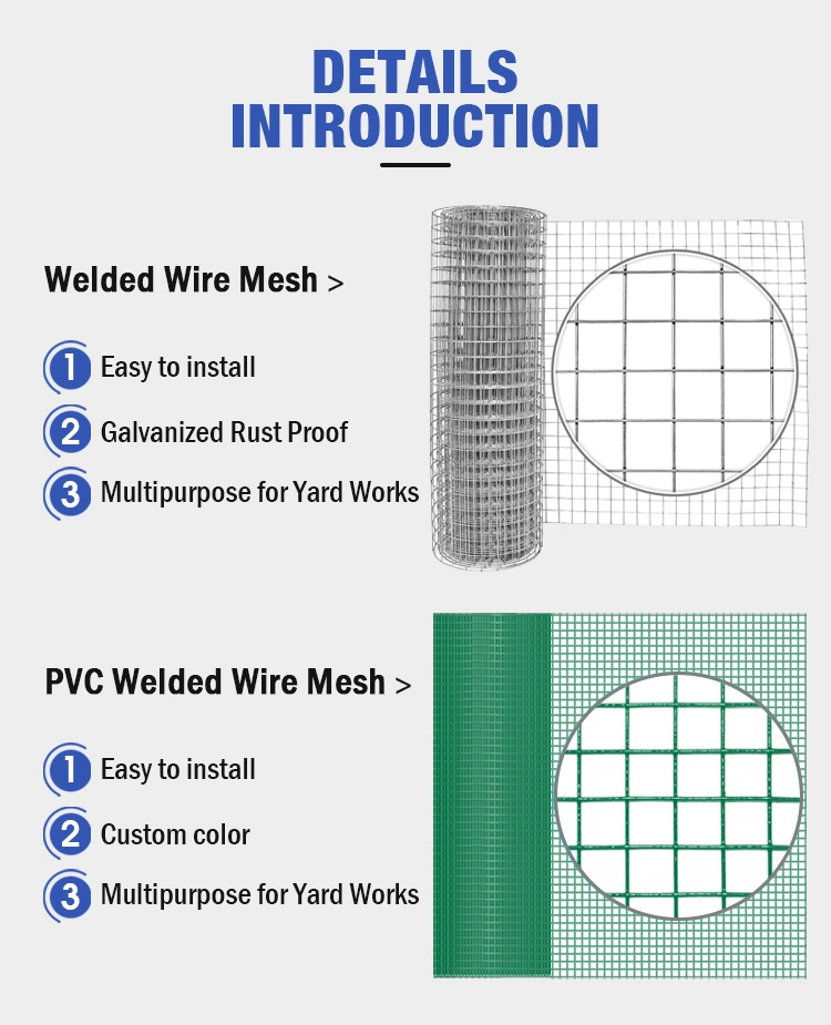 Hot Sale Welded Wire Mesh for Sale