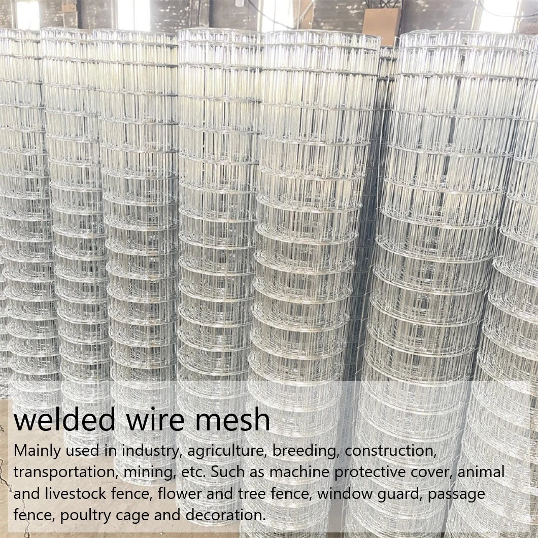 New Design Square and Green PVC Coated Welded Wire Mesh for Animal Cages