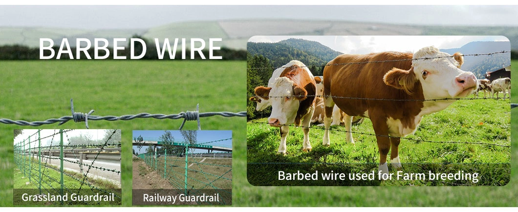 Good Atmospheric Oxidation Protection Barbed Iron Wire with TUV for Secure The Top of The Walls