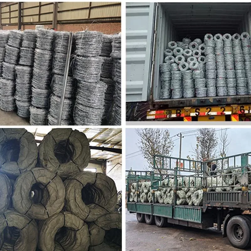 Wholesale Factory Hot DIP Galvanized Barbed Security Wire Barrier Wall Fence Barbed Wire