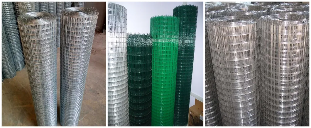 3/4"Inch Galvanized Welded Wire Mesh Fence PVC Coated Welded Rabbit Cage Wire Mesh Prices