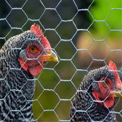 Filet de grillage de poulet treillis métallique galvanisé à mailles hexagonales