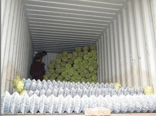 Clôture de maillon de chaîne galvanisée par fer de jardin de haute qualité pour clôture de jardin en PVC