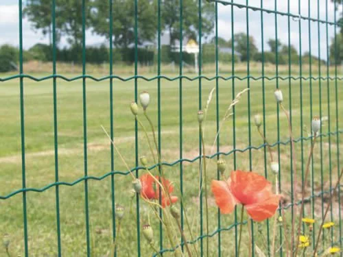 Clôture soudée enduite de PVC Euro/Holland Wire Fence Clôture ondulée