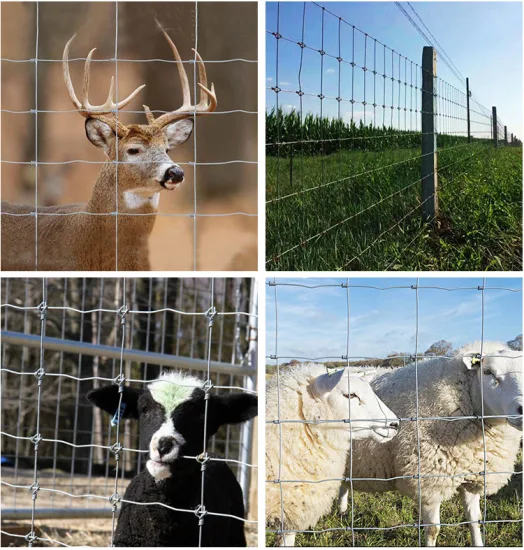 Clôture de ferme de haute qualité pour le bétail clôturant la clôture de champ galvanisée à chaud